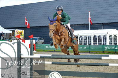 Absolut horses
la2 120cm
Nøgleord: konstantin deeken künnemann;shivaliesje-vitz