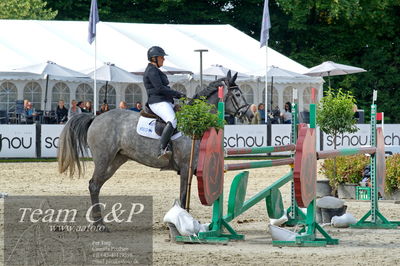 Absolut horses
la2 120cm
Nøgleord: thea glitrup;favour ev