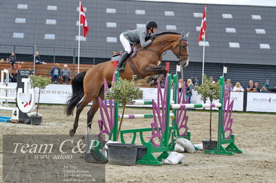 Absolut horses
la2 120cm
Nøgleord: jannike west schou;unbelievable