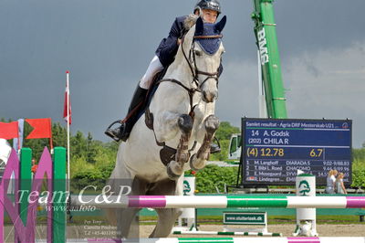 Absolut horses
2. kval og finale u 21
Nøgleord: alexander godsk;chila r