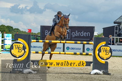 Absolut horses
2. kval og finale u 21
Nøgleord: phillappa w linde;choppine du bidou