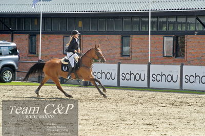 Absolut horses
2. kval og finale u 21
Nøgleord: maria barnewitz schou;seana 2