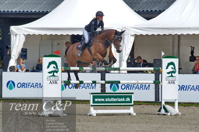 Absolut horses
2. kval. og finale Agria DRF Mesterskab U25 - S1 + S2 Springning Heste
Nøgleord: michelle lassen;zocker 19