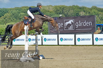 Absolut horses
2. kval. og finale Agria DRF Mesterskab U25 - S1 + S2 Springning Heste
Nøgleord: sofie yderstraede bucka;la belle