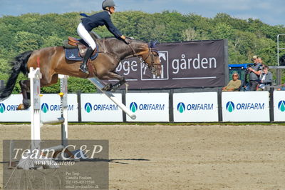 Absolut horses
2. kval. og finale Agria DRF Mesterskab U25 - S1 + S2 Springning Heste
Nøgleord: sofie yderstraede bucka;la belle