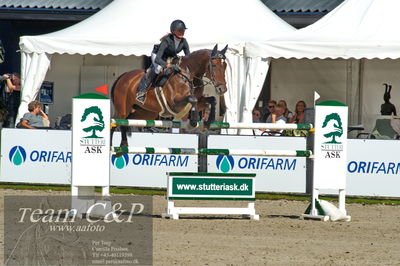 Absolut horses
2. kval. og finale Agria DRF Mesterskab U25 - S1 + S2 Springning Heste
Nøgleord: karoline vistensen graversen;libertina