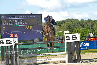 Absolut horses
S1 Springning Heste (145 cm) B1
Nøgleord: martin neeergaard;cranberry 14