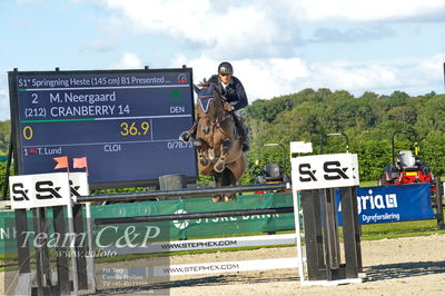 Absolut horses
S1 Springning Heste (145 cm) B1
Nøgleord: martin neeergaard;cranberry 14