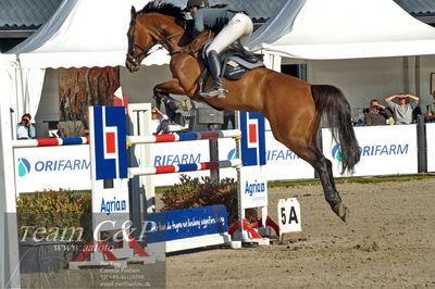 Absolut horses
S1 Springning Heste (145 cm) B1
Nøgleord: charlotte kondrup;dithmarsia