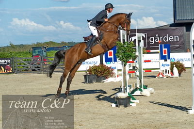 Absolut horses
S1 Springning Heste (145 cm) B1
Nøgleord: nicolas pedersen;tailormade chacco coro