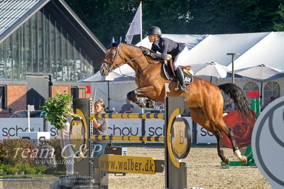 Absolut horses
S1 Springning Heste (145 cm) B1
Nøgleord: rie rose lindegren roed;tuscia del poggiosecco