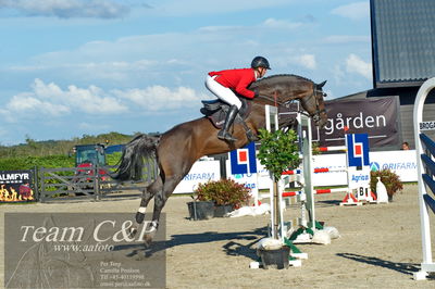 Absolut horses
S1 Springning Heste (145 cm) B1
Nøgleord: kasper  h hansen;balou