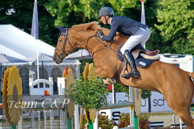 Absolut horses
Mb 130cvm
Nøgleord: lars bak andersen;bartholomaeus 2