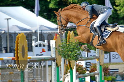 Absolut horses
Mb 130cvm
Nøgleord: torben frandsen;elmegårdens dakota