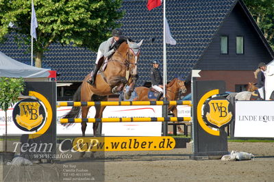 Absolut horses
Mb 130cvm
Nøgleord: jannike west schou;unbelievable