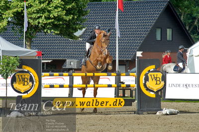 Absolut horses
Mb 130cvm
Nøgleord: cecilie kjær;chintano