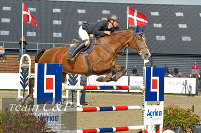 Absolut horses
Mb 130cvm
Nøgleord: lærke isabell godsk;miss ellie