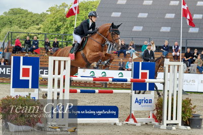 Absolut horses
Mb 130cvm
Nøgleord: xenia loft strandgaard;diamant