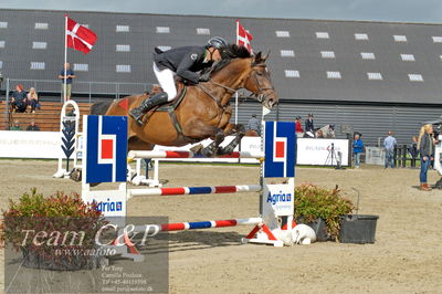 Absolut horses
Mb 130cvm
Nøgleord: mikkel friedrich;a cornelis z