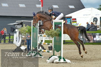 Absolut horses
Mb 130cvm
Nøgleord: rie rose lindegren roed;calalou