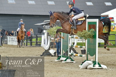 Absolut horses
Mb 130cvm
Nøgleord: rie rose lindegren roed;calalou