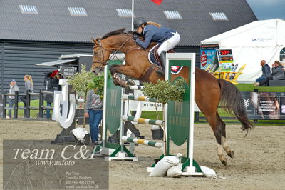 Absolut horses
Mb 130cvm
Nøgleord: frida munk lassen;valerie ask