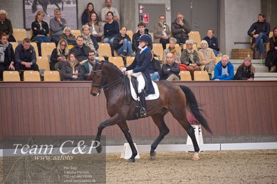 Blue Hors
7 års finale dressur
Nøgleord: elliot julianelyst;tania m joensen