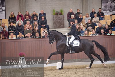 Blue Hors
7 års finale dressur
Nøgleord: queenparks wendy;andreas helgstrand