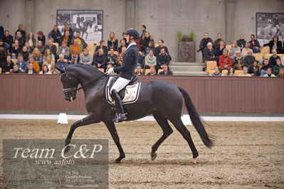 Blue Hors
5års finale dressur
Nøgleord: polka sensation nexen;dennis kjær