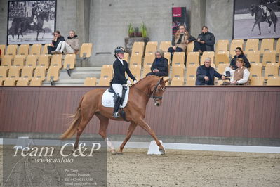 Blue Hors
1. kvl 4års heste dressur
Nøgleord: unna;josefine hoffmann