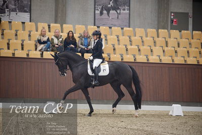 Blue Hors
5års dressur kvl
Nøgleord: atterupgaards lady;selina solberg vittinghus