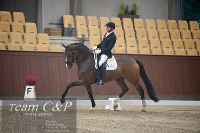 Blue Hors
5års dressur kvl
Nøgleord: michael grønne christensen;svalegårds hot zalina