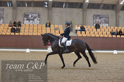 Blue Hors
5års dressur kvl
Nøgleord: hp grace;mia lykke ravn