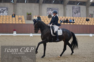 Blue Hors
5års dressur kvl
Nøgleord: hp grace;mia lykke ravn