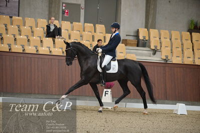 Blue Hors
5års dressur kvl
Nøgleord: ulrik falbe-hansen;blue hors victor