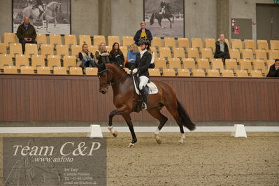 Blue Hors
5års dressur kvl
Nøgleord: betina jæger jensen;hussmanns top gun