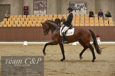 Blue Hors
5års dressur kvl
Nøgleord: fynch hatton;andreas helgstrand