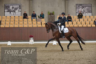 Blue Hors
5års dressur kvl
Nøgleord: fynch hatton;andreas helgstrand