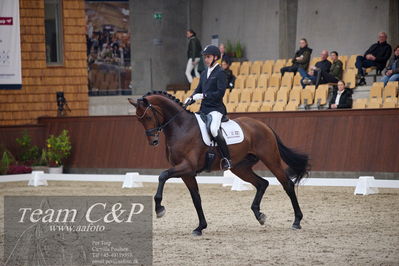 Blue Hors
5års dressur kvl
Nøgleord: fynch hatton;andreas helgstrand