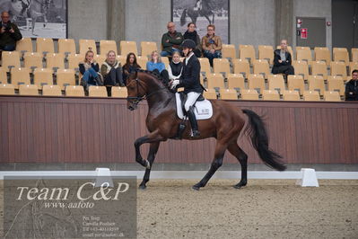 Blue Hors
5års dressur kvl
Nøgleord: fynch hatton;andreas helgstrand