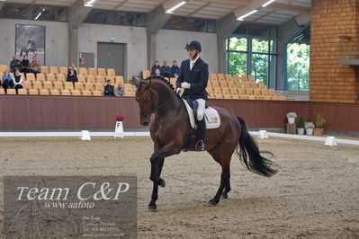 Blue Hors
5års dressur kvl
Nøgleord: fynch hatton;andreas helgstrand