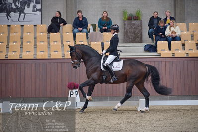 Blue Hors
5års dressur kvl
Nøgleord: anne-mette strandby hansen;vendome