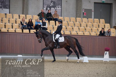 Blue Hors
5års dressur kvl
Nøgleord: anne-mette strandby hansen;vendome