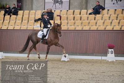 Blue Hors
dressur 6års kvl
Nøgleord: nova;rikke dupont