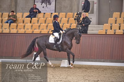 Blue Hors
dressur 6års kvl
Nøgleord: condessa nord;heidi magdelene bruhn sørensen