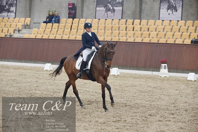 Blue Hors
7års dressur kvl
Nøgleord: zavannah;sanne glargaard