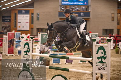 Blue Hors
spring 6års 2.kvl
Nøgleord: cassado ask;karen  møller rohde