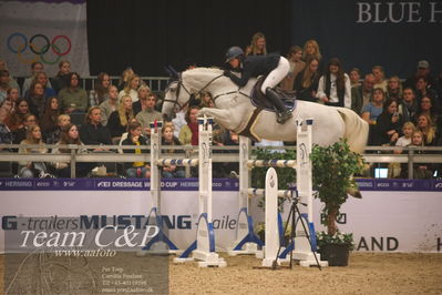 Absolut horses
Zibrasport Equest CSI2 Medium Tour (238.2.1) 1.40m
Nøgleord: kessy van berlo;erma