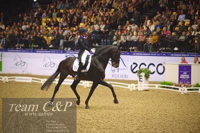 Jydske bank box
FEI Dressage World Cup Freestyle presented by ECCO (GP FS)
Nøgleord: nanna skjold merrald;blue hors zack