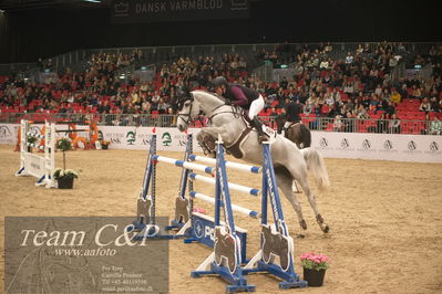 Jydske bank box
2022-03-10 csi3 medium tour 140cm
Nøgleord: erika lichhammer;van helmond